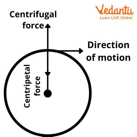 centrifugal force centrifuge|centrifuge force formula.